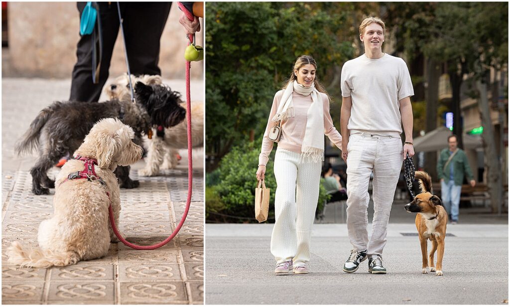 Couple walking their dog in Barcelona, taken by dog photographer Jill Brammer