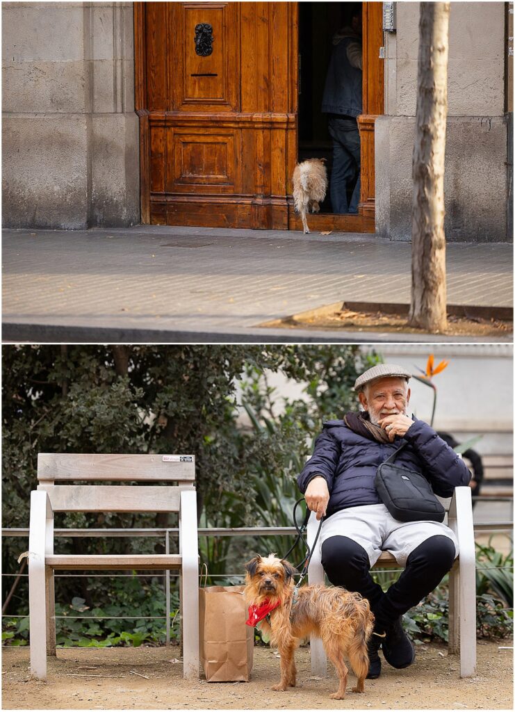 Man sitting with his dog on a city bench in Barcelona