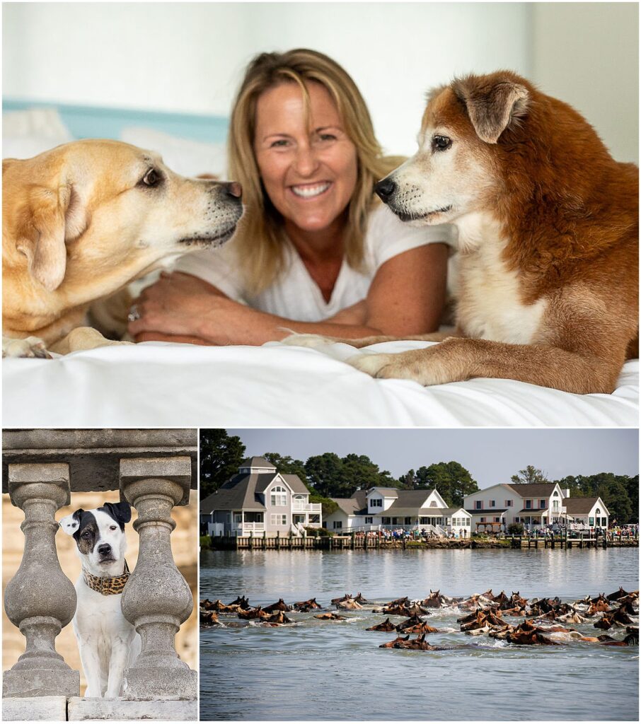 Pet photographer Jill Brammer with her dogs