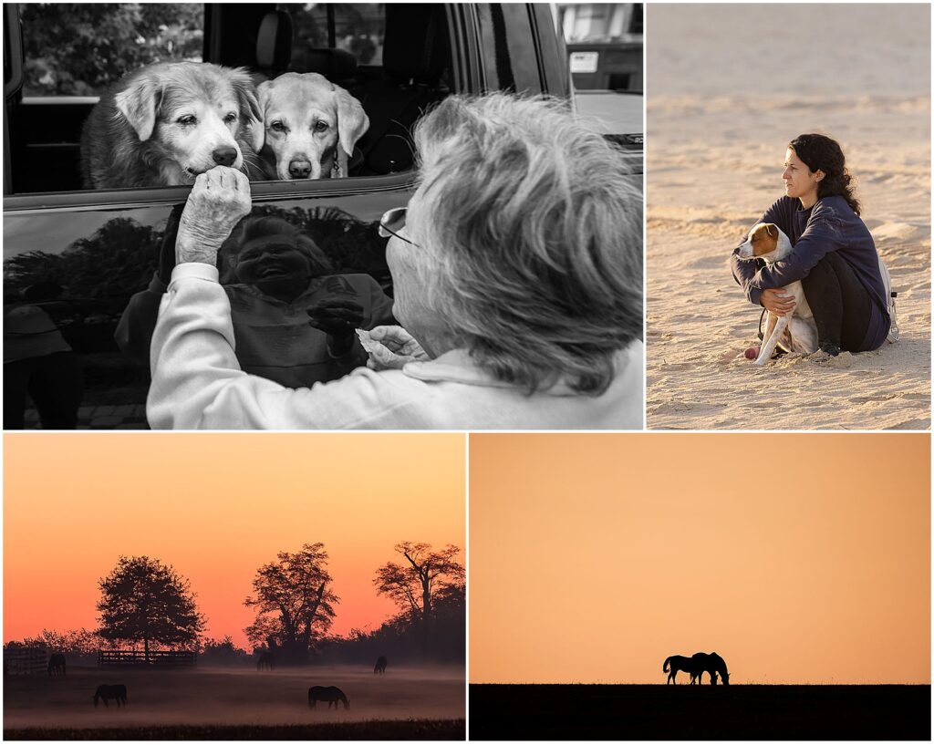 A collage of images of women with their pet dogs and horses