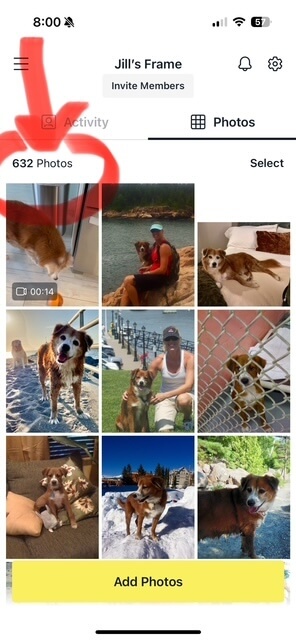 lesson from a soul dog is a collage of pictures of my dog on my digital Aura frame
