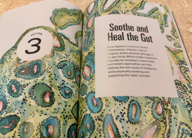 page from the book Herbal Gut Heath